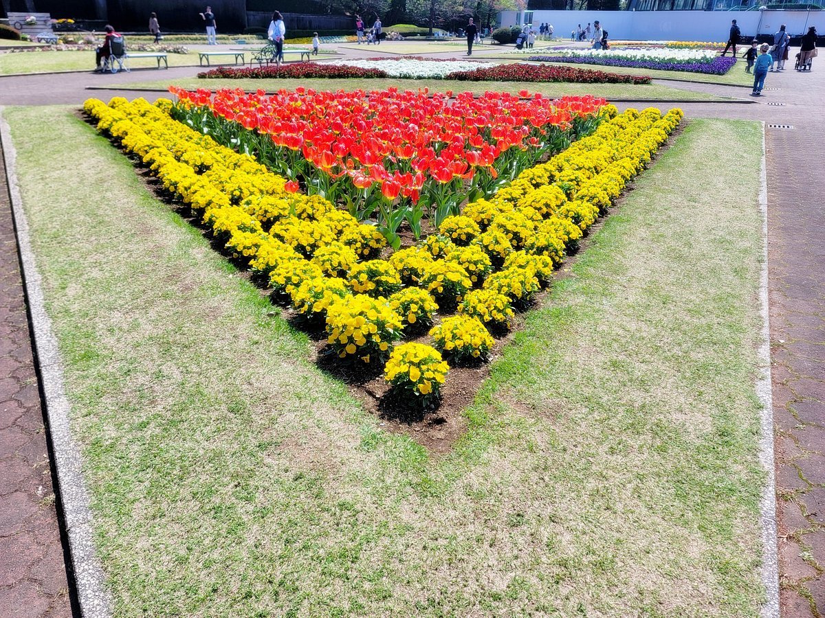 🌳 가와구치 시립 그린센터 (川口市立グリーンセンター) 이미지 4